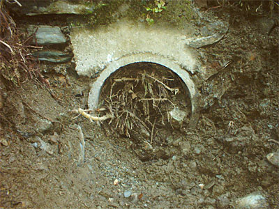 image004-4