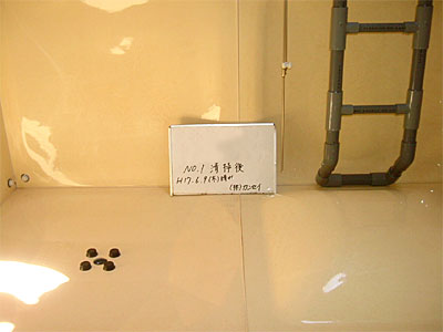 image013-2