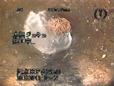 image023-2
